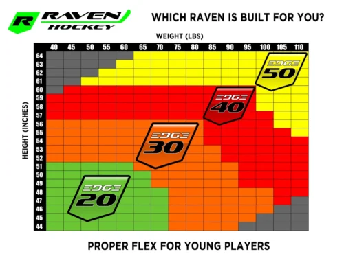 Raven Edge - Junior -Hockey Stick Market WhichRaven Poster Retail2018 v03 1500x1159 1920w 2ef8731c 61c6 4f26 a441 eab2cab53917